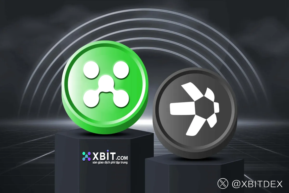 Ảnh: Twitter: XBITDEX