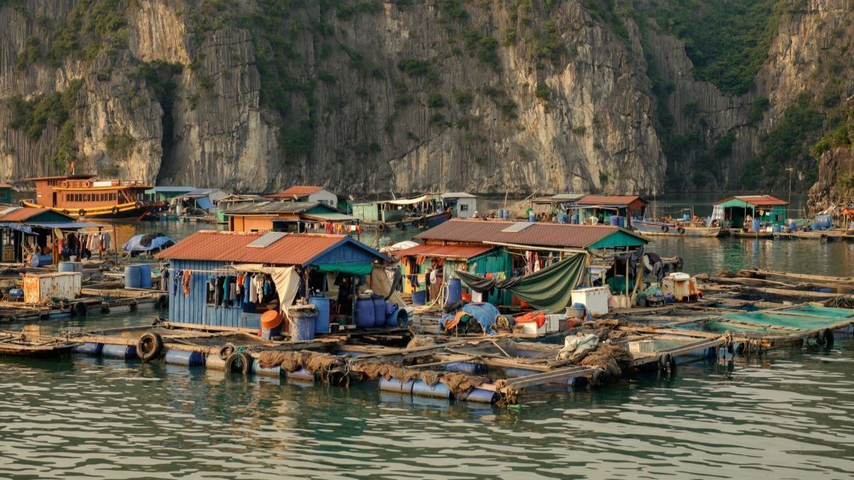 du lịch Hạ Long hay Đảo Cát Bà