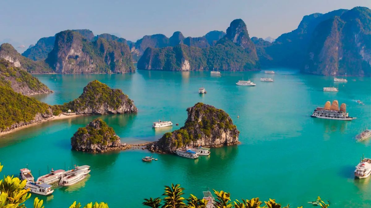 du lịch Hạ Long hay Đảo Cát Bà